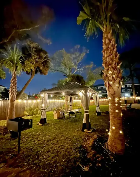 Gazebo and palm trees lit with string lights in the evening
