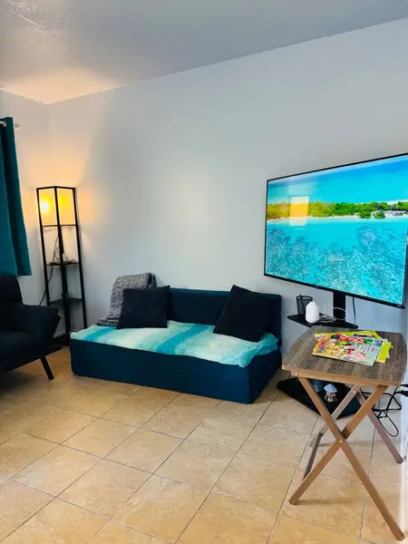 Living area with a TV and armchair