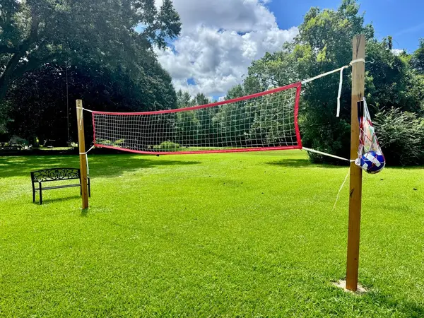 Volleyball net on the shared lawn