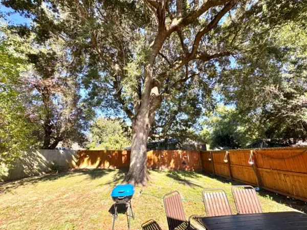 Fenced backyard with a large shade tree