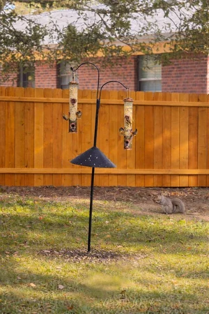Fenced yard with a pergola and bird feeders